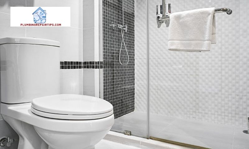 Toilet Maintenance Specialists: Ensuring Hygiene and Functionality