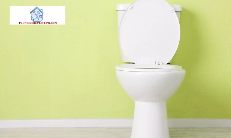 Choosing the Right Toilet Maintenance Specialist