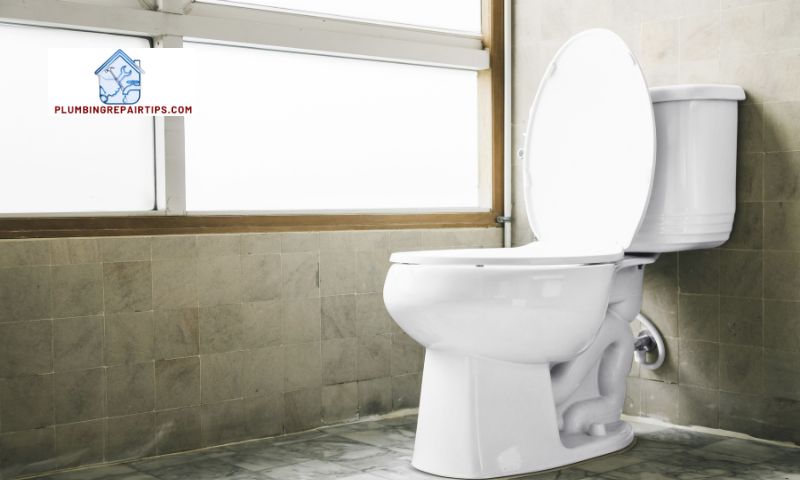 Identifying Common Problems with Quiet Flush Toilets
