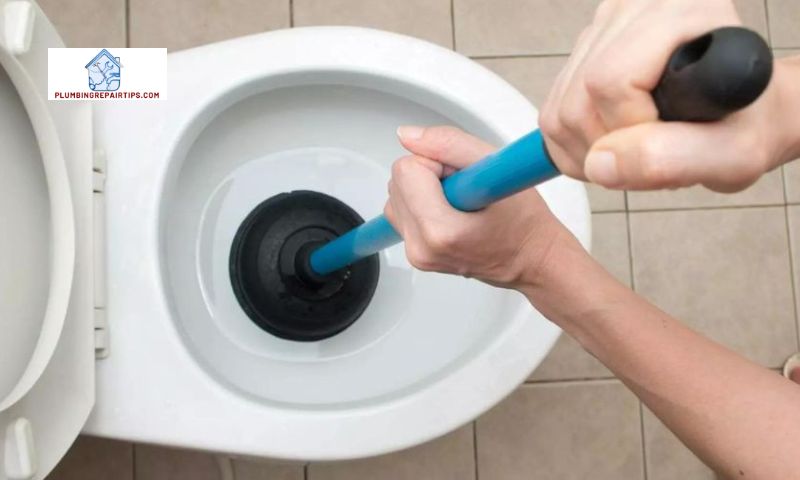 Understanding Toilet Backflow