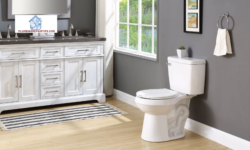 Top Features of Project Source Toilets